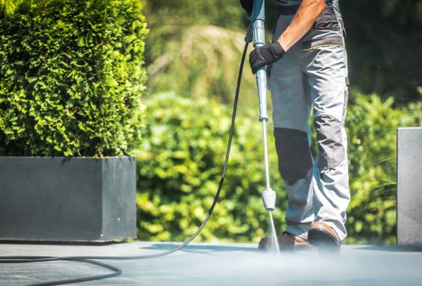 Best House Exterior Washing  in Thomaston, NY